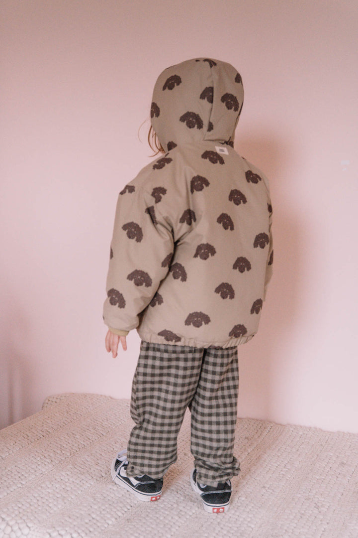 Manteau Frio Rain Chien
