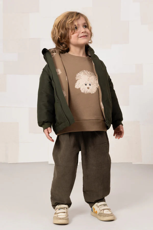 Manteau Frio Rain Chien