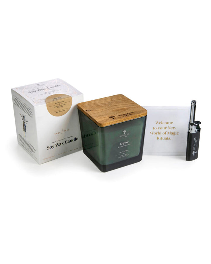 Bougies à la cire de soja d’aromathérapie Premium collection 450g