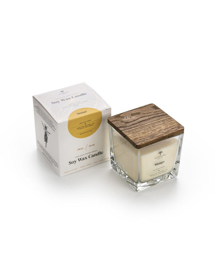 Bougie d’aromathérapie à la cire de soja 200g